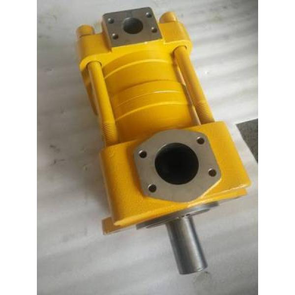 pump QT23 Series Gear Pump QT23-8E-A #1 image